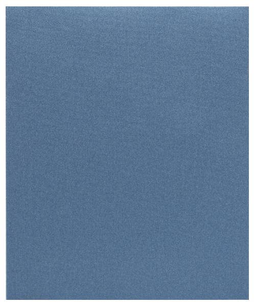 Arrière-plan texturé bleu solide sans objets ni texte visibles.