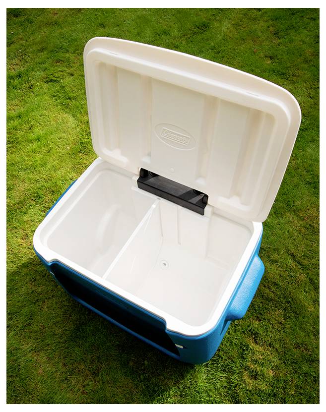 Refroidisseur bleu et blanc vide ouvert avec couvercle à charnière ouvert sur l'herbe à l'extérieur.