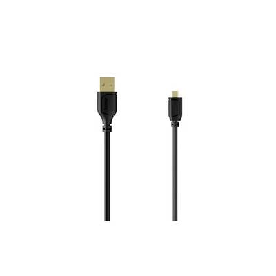 Deux câbles USB noirs affichés côte à côte, chacun avec un connecteur de taille différente sur un fond blanc.