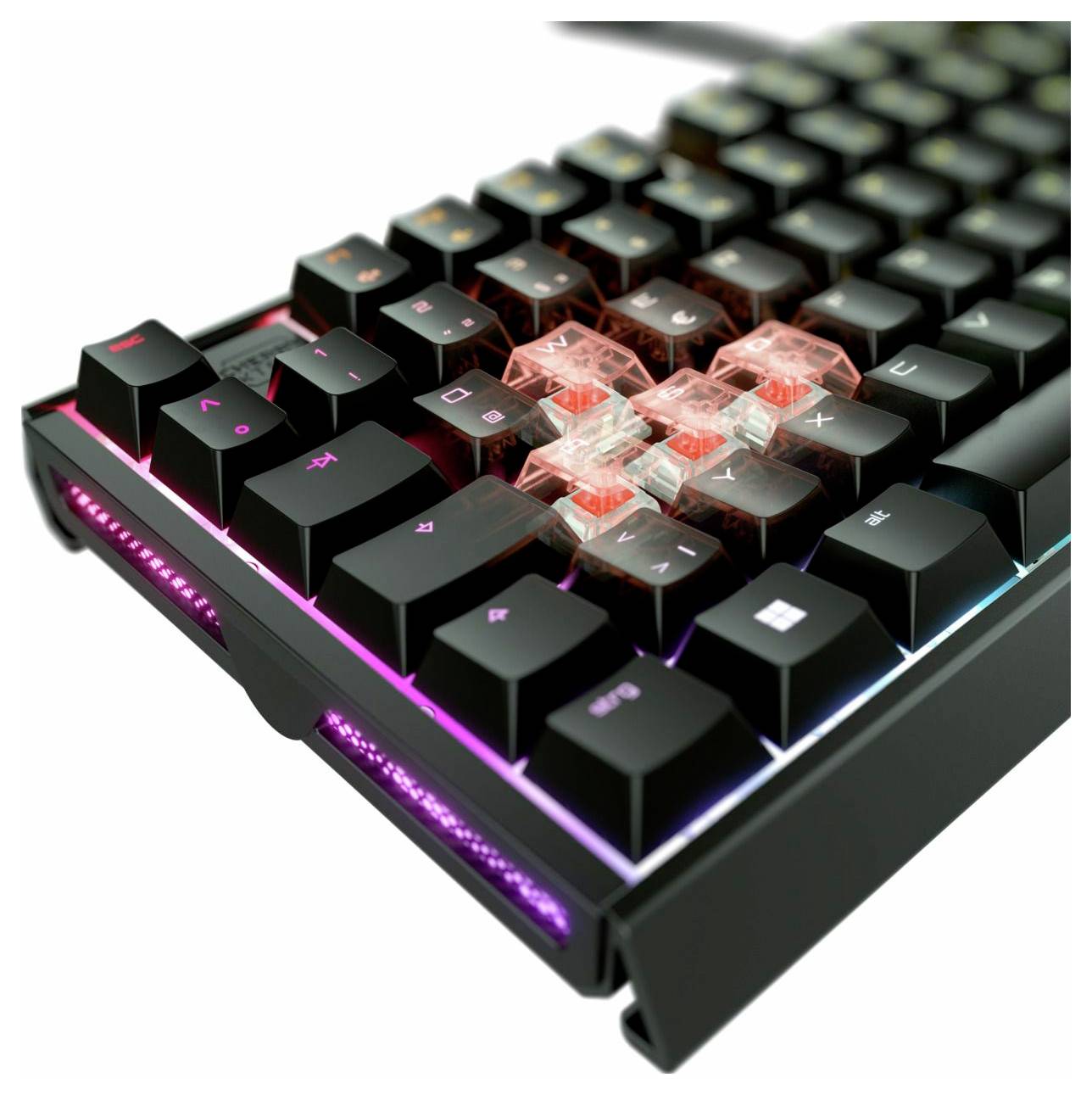 Cherry XTRFY MX 3.1 RGB BLACK / DE filaire Clavier allemand, QWERTZ noir-3