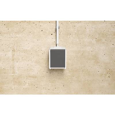 Une plaque murale électrique grise vierge avec un câble blanc entrant par le haut, centrée sur un mur texturé beige.
