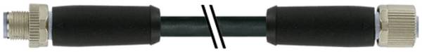 Murrelektronik 7000-P4241-P342000 Câble de raccordement    Nombre de pôles: 5 1 pc(s)