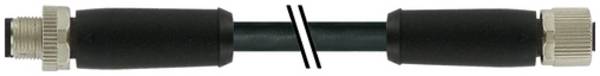 Murrelektronik 7000-P4141-P370500 Câble de raccordement    Nombre de pôles: 4 1 pc(s)