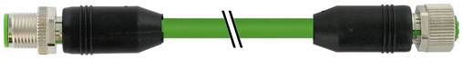 Câble Ethernet vert avec des connecteurs métalliques aux deux extrémités, centré sur un fond blanc.