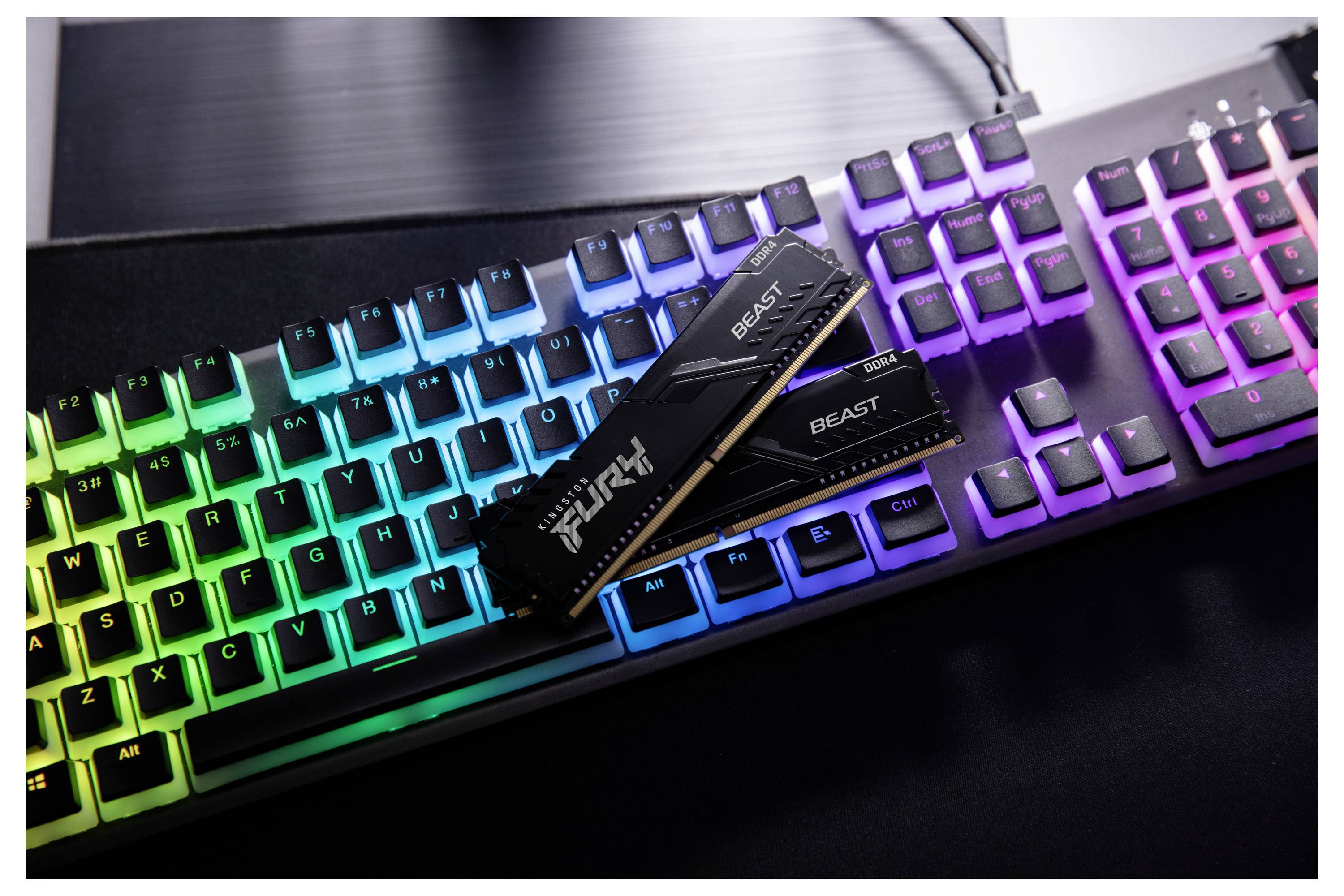 Clavier rétroéclairé RGB avec deux barrettes mémoire Kingston FURY Beast posées sur les touches.