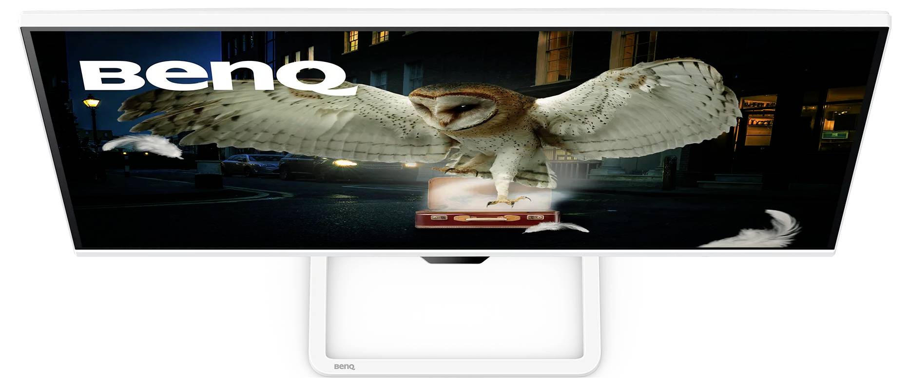 Moniteur BenQ affichant une chouette grange avec les ailes déployées la nuit, mettant en avant la qualité d'image éclatante de l'écran.