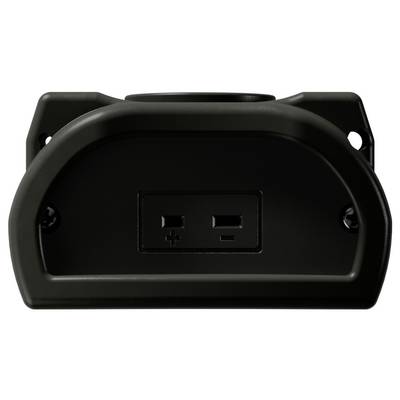 Plaque murale électrique noire avec deux ports de charge USB marqués « + » et « − » au centre