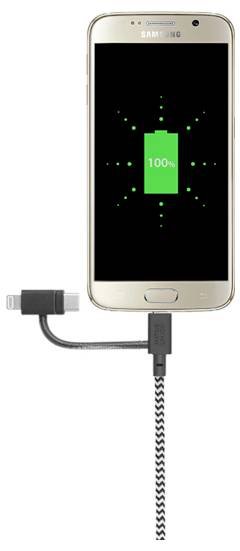 Native Union Câble USB-C USB 2.0 2 m BELT-ULC-ZEB-NP-5