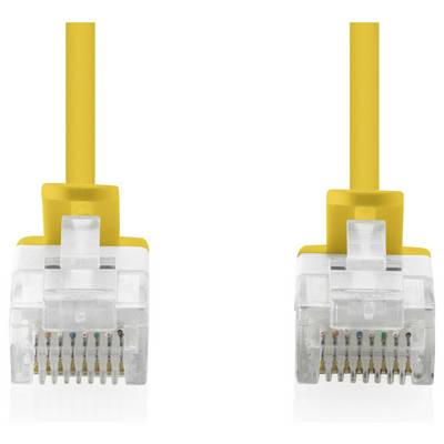Deux fiches de câble Ethernet jaunes présentées côte à côte sur un fond blanc, chacune avec des connecteurs RJ45 clairement visibles.