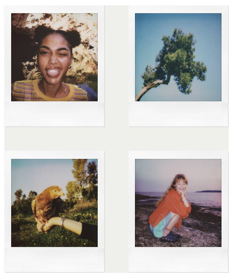 Quatre photos de style Polaroid : une femme souriante, un arbre contre un ciel bleu, un faucon sur une main gantée, et une femme accroupie sur une plage au coucher du soleil.
