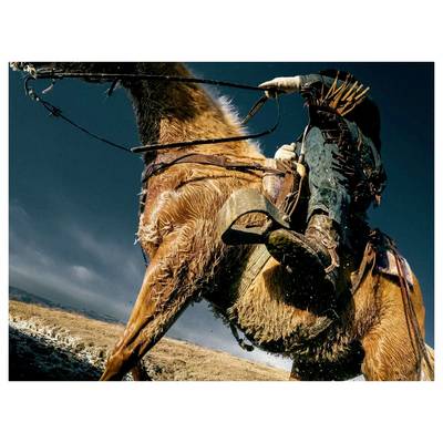 Cow-boy sur un cheval qui se cabre au milieu d'une course dans un rodéo en plein air, avec les rênes tendues et de la poussière qui s'envole.