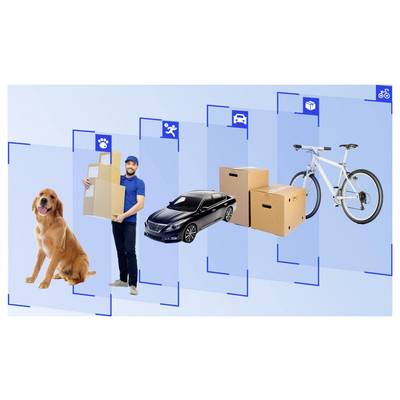 Graphique de logistique de livraison montrant un chien, un déménageur avec des boîtes, une voiture, des colis et une bicyclette arrangés par icônes de transport, suggérant les options d'expédition pour différents types d'articles.