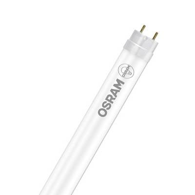 Tube fluorescent OSRAM avec culot à deux broches, présenté en diagonale sur un fond blanc.