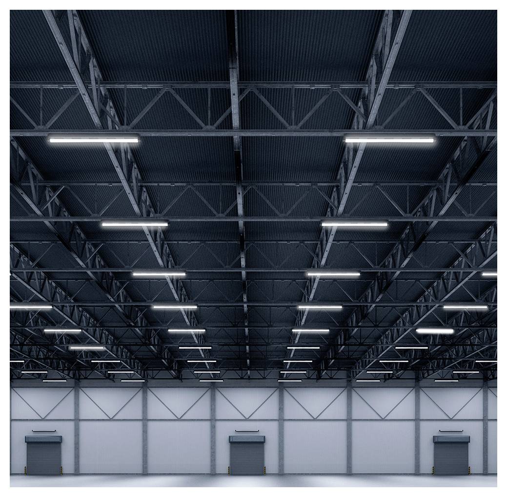 Intérieur d'un entrepôt industriel vide avec des fermes en acier élevées, des luminaires de plafond lumineux et trois portes de baie de chargement le long du mur arrière.