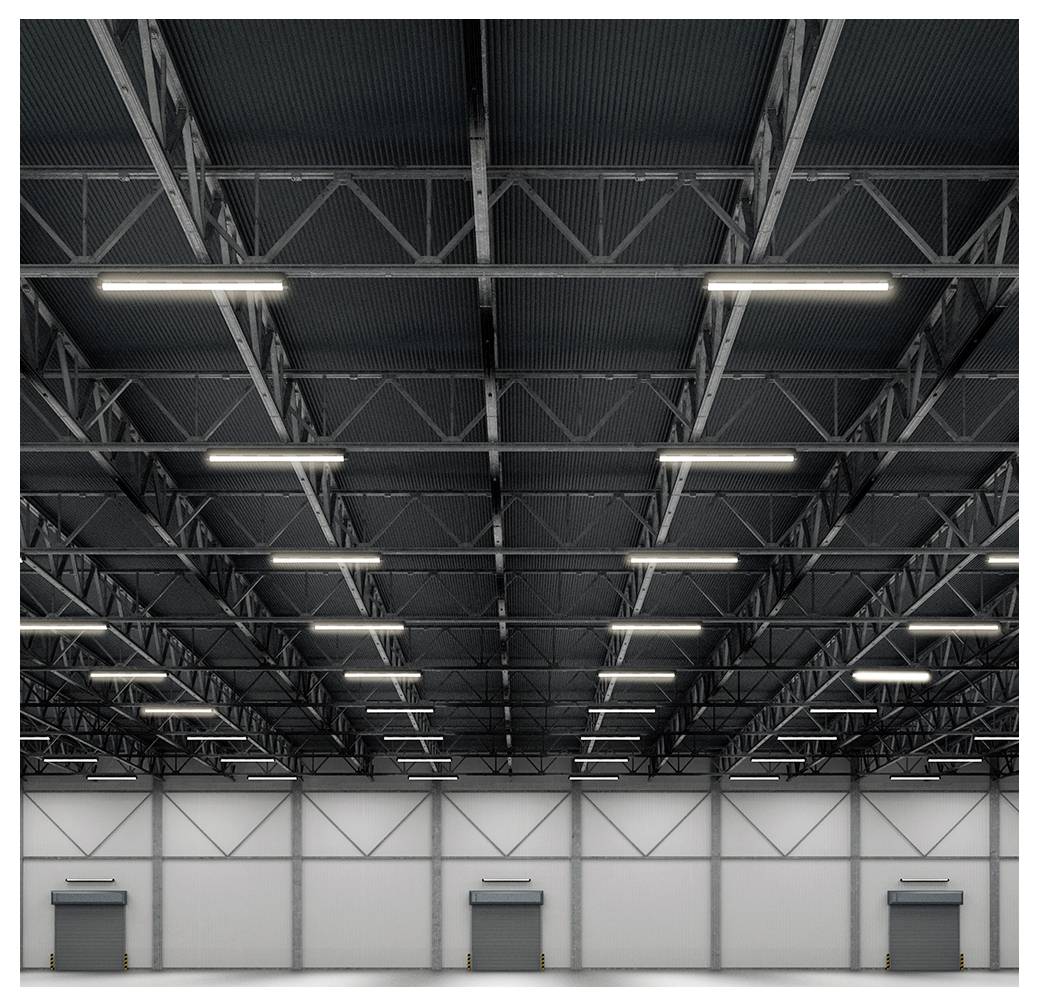 Intérieur d'entrepôt vide avec des fermes métalliques élevées, des éclairages linéaires lumineux au plafond et trois portes de quai fermées le long du mur du fond.