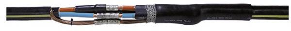 CellPack 126674 SMHC3/16-35 Manchon de raccordement thermorétractable Contenu: 1 pc(s)