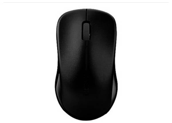 Rapoo 1620  Souris sans fil    noir  1000 dpi ergonomique