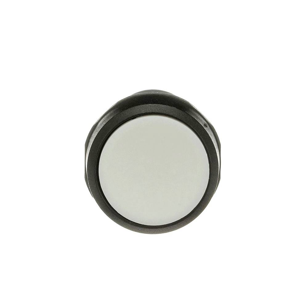 ABB 1SFA619100R1025 CP1-10W-20 Bouton-poussoir à rappel IP67/IP69K 1 pc(s)-0