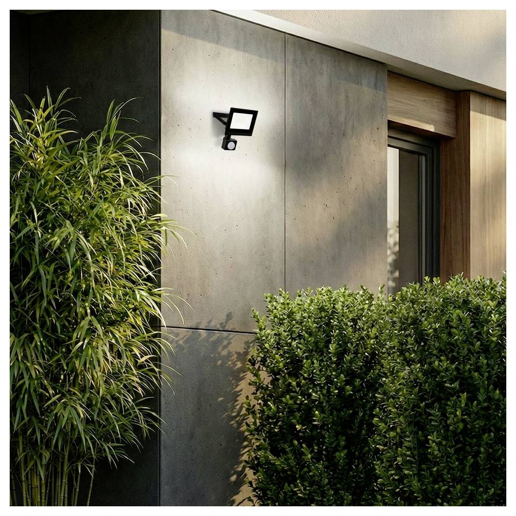 Extérieur d'une maison moderne avec un petit projecteur de sécurité, encadré par un bambou de grande taille et des arbustes taillés près d'une fenêtre.