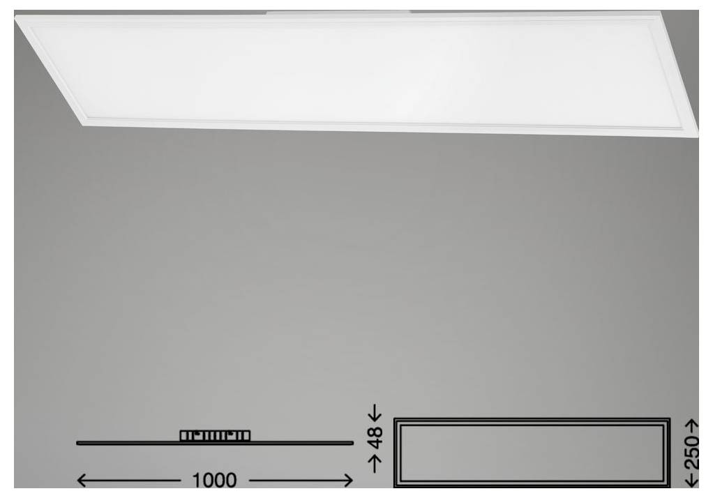 Dessin technique d'un panneau de luminaire de plafond rectangulaire, présenté en perspective, avec des dimensions de 1000 mm par 250 mm et une profondeur de 48 mm.