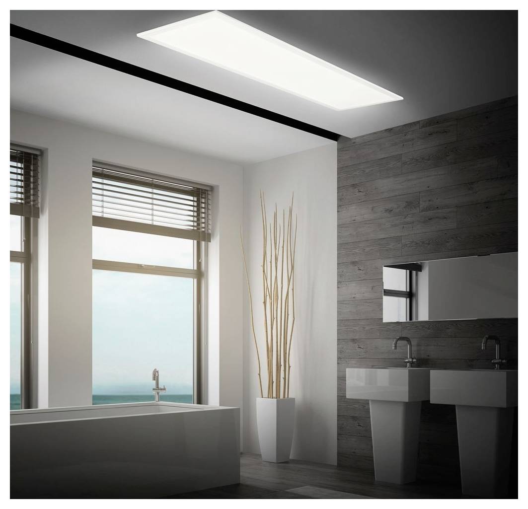 Salle de bain moderne avec une baignoire îlot près de grandes fenêtres, deux lavabos sur piédestal, un miroir, et un vase de sol avec des roseaux hauts contre un mur d'accent en bois.