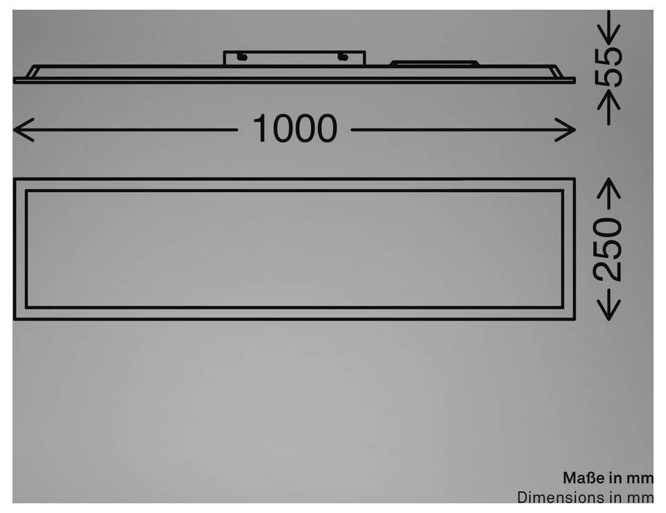 Schéma de dimensions d'un panneau rectangulaire, de 1000 mm de large et 250 mm de haut, avec une profondeur/hauteur de 55 mm indiquée en vue latérale.