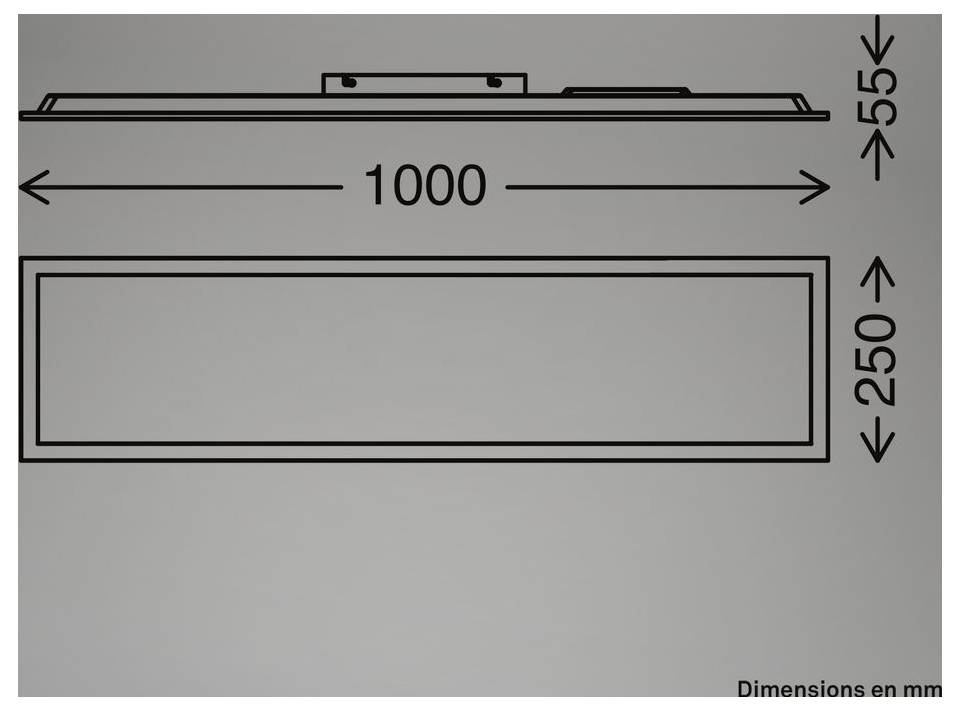 Dessin technique d'un panneau rectangulaire : 1000 mm de large, 250 mm de haut et 55 mm de profondeur, représenté en vue de dessus et vue de face.