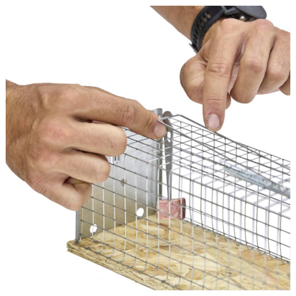 Des mains construisant un piège ou une cage en treillis métallique sur une base en bois, une main pointant vers le coin supérieur.