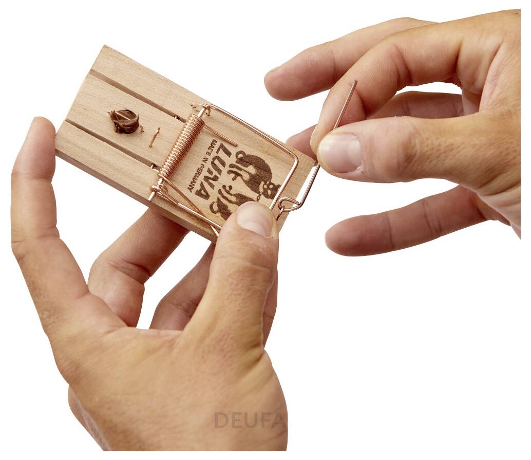Mains réglant un piège à souris en bois fait maison, montrant le mécanisme à ressort et le compartiment d'appât sur un fond blanc.