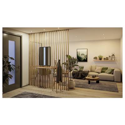 Salon moderne avec un séparateur en bois lamellé, un petit miroir de vanité, un canapé beige, des plantes, des œuvres d'art murales et une table basse sur un tapis.