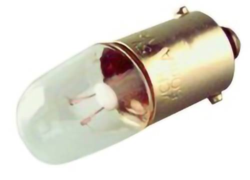Gros plan d'une petite ampoule à incandescence avec une base à vis métallique sur un fond blanc.