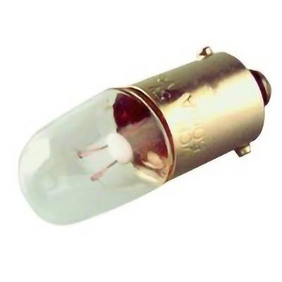 Gros plan d'une petite ampoule à incandescence avec une base à vis métallique sur un fond blanc.