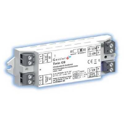 Photo de produit d'un module électrique industriel Gessler Twin 09 avec des bornes étiquetées et des connexions de câblage aux deux extrémités.