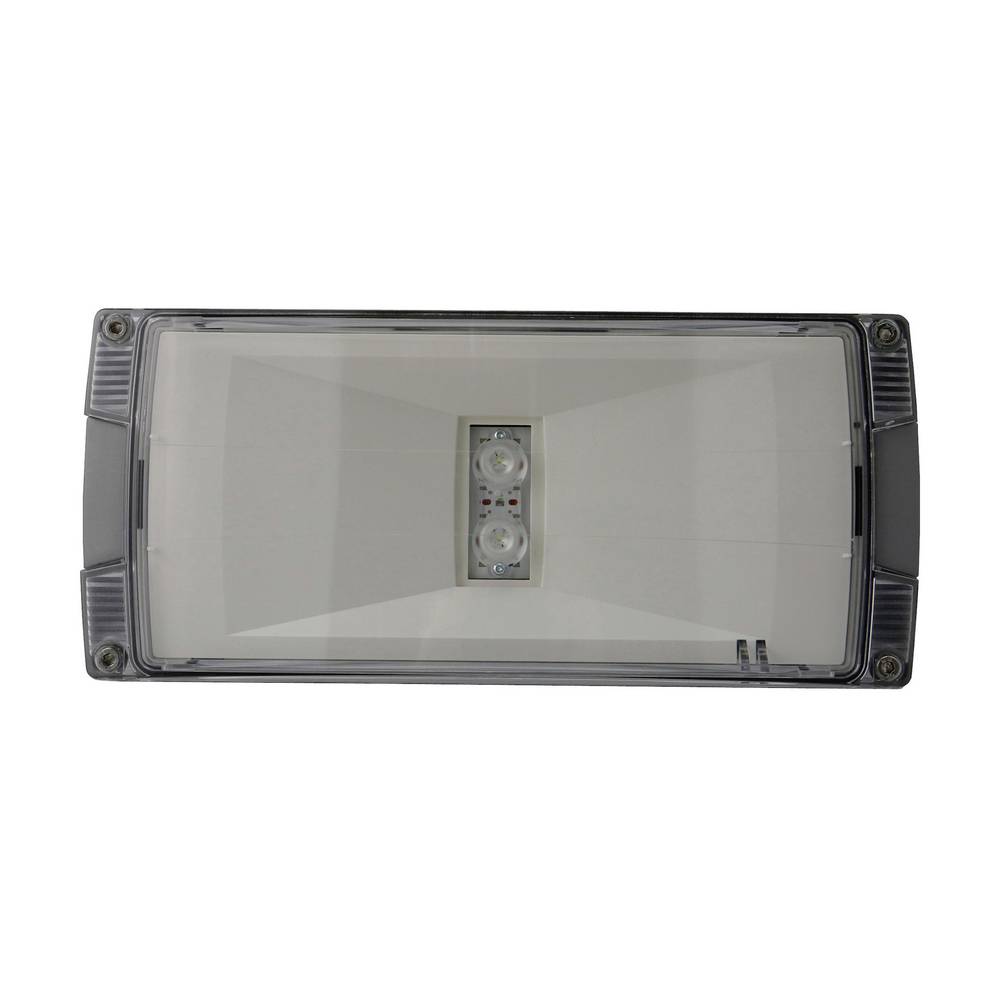 Luminaire mural rectangulaire avec un diffuseur transparent et deux ampoules LED centrales sur un fond blanc.