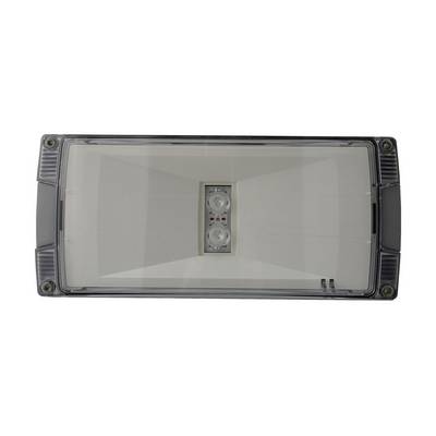 Luminaire mural rectangulaire avec un diffuseur transparent et deux ampoules LED centrales sur un fond blanc.