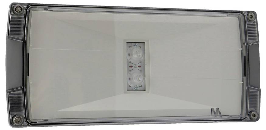 Gros plan d'un luminaire mural ou de plafond rectangulaire avec un module LED central et un diffuseur translucide.