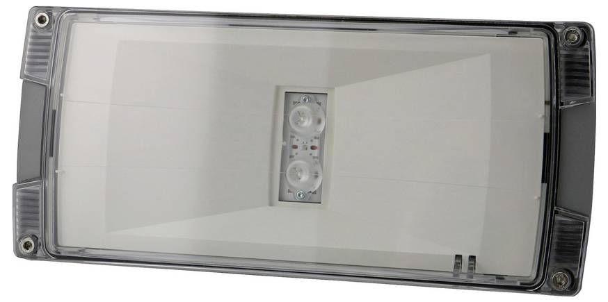 Luminaire d'extérieur rectangulaire avec lentille transparente et deux ampoules centrales dans un boîtier gris.