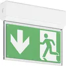 RZB 672420.002 Eclairage LED d'issue de secours