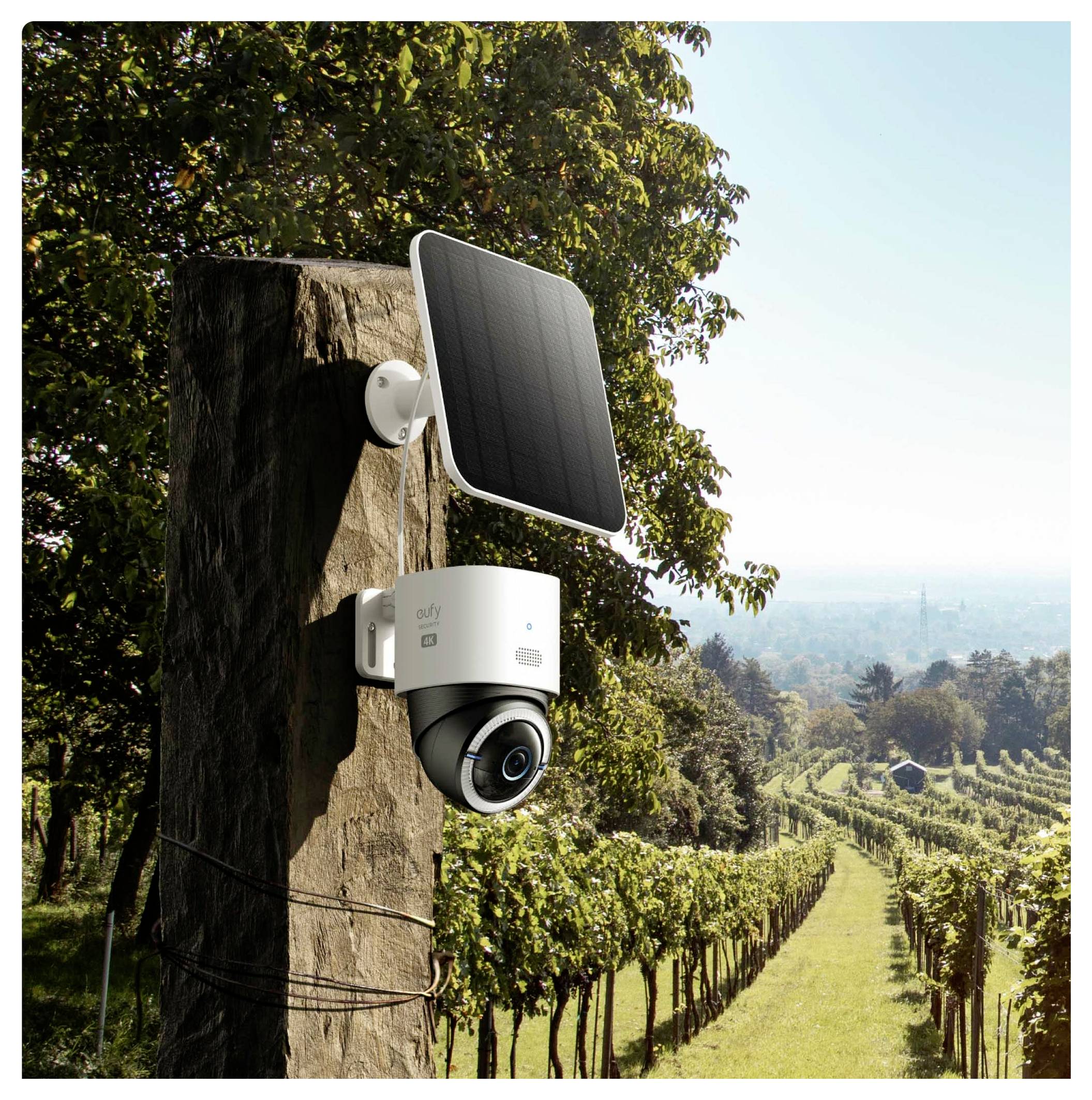 Caméra de sécurité alimentée par l'énergie solaire montée sur une souche d'arbre surplombant les rangées de vignobles dans un paysage de campagne ensoleillée.