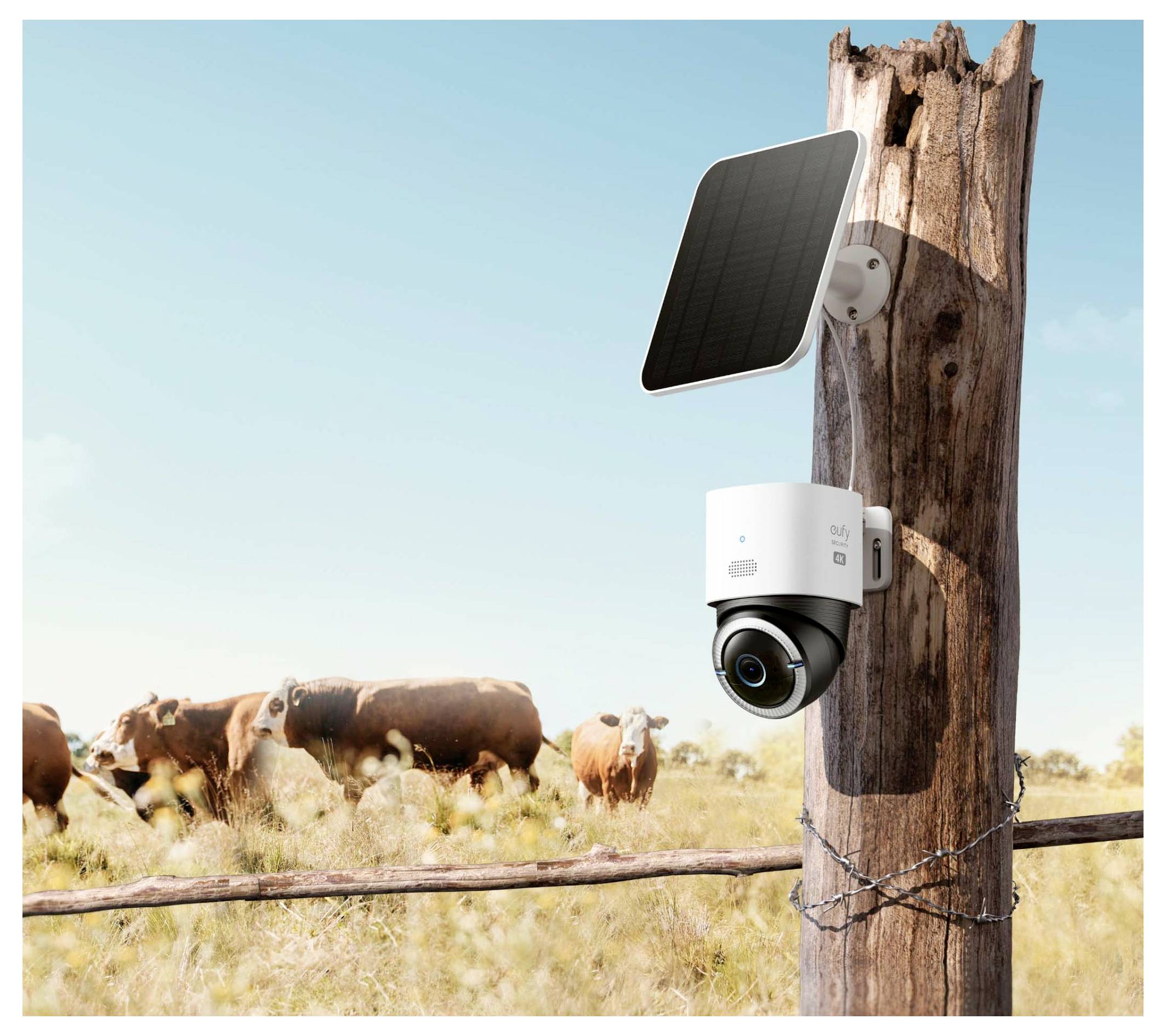 Caméra de sécurité alimentée par énergie solaire montée sur un poteau de clôture en bois surplombant le bétail dans un pâturage.
