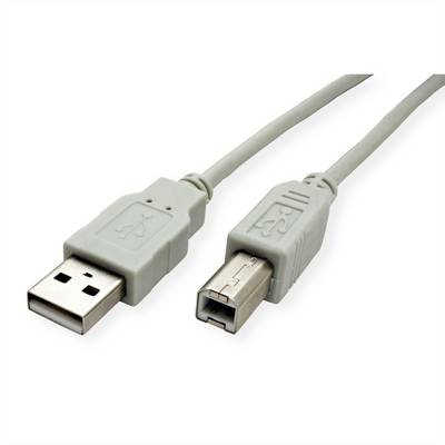 Câble USB avec connecteur USB-A standard et connecteur USB-B carré sur un fond blanc.