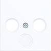 Hager Cache blanc lumineux (brillant) WAF1168WG 1 pc(s)