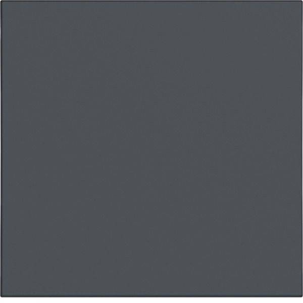 Hager     anthracite (mat) WAW1000AT 1 pc(s)