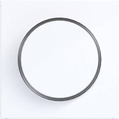 Anneau circulaire gris centré sur un fond blanc.
