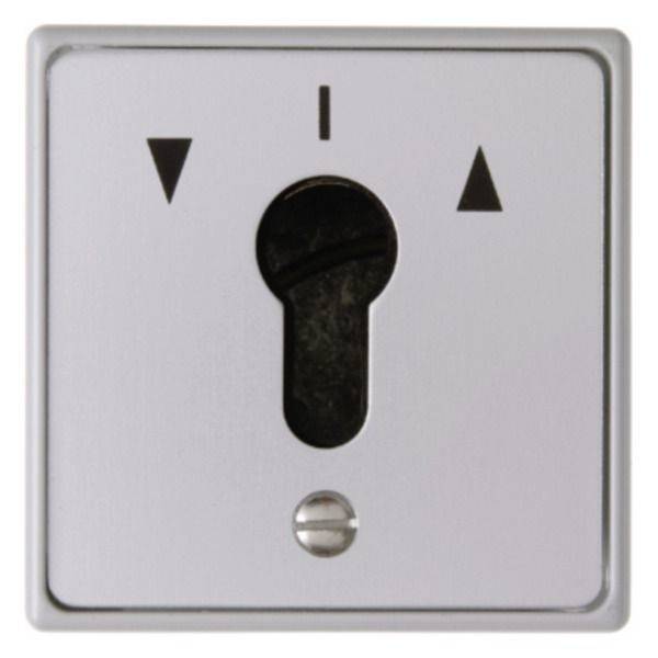 Hager Bouton à clé pour store WDE4449 1 pc(s)