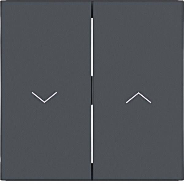 Hager Bouton à bascule anthracite (mat) WAW2001AT 1 pc(s)