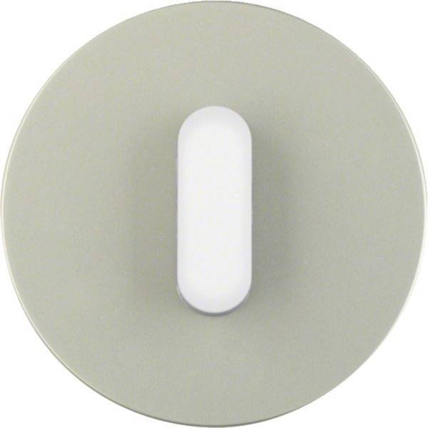 Hager Plaque de recouvrement blanc polaire WTD9131STW 1 pc(s)