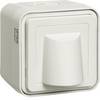 Hager blanc polaire WNC155B 1 pc(s)