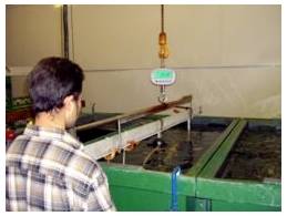 Un homme se tient à côté d'un réservoir industriel vert ou d'un bassin d'eau dans un laboratoire ou une usine, avec une balance numérique suspendue au-dessus.