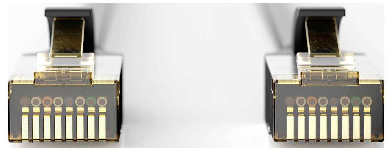 Deux fiches modulaires de connecteur réseau or et noir présentées côte à côte sur un fond blanc.